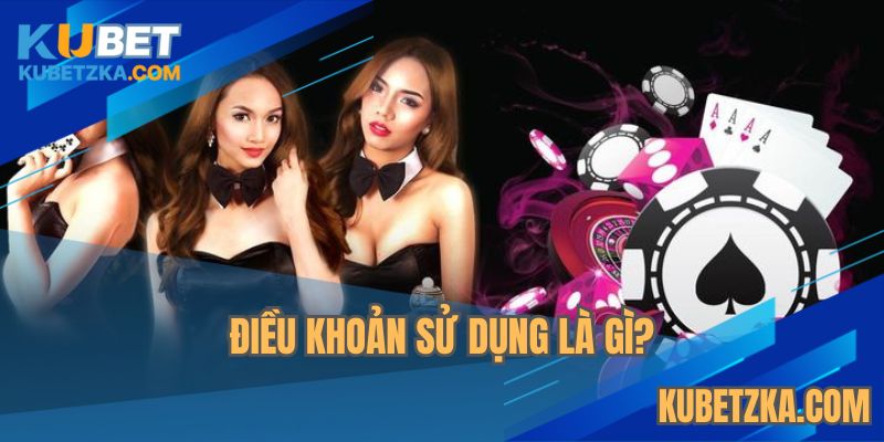 Hiểu như thế nào về chính sách điều khoản sử dụng?